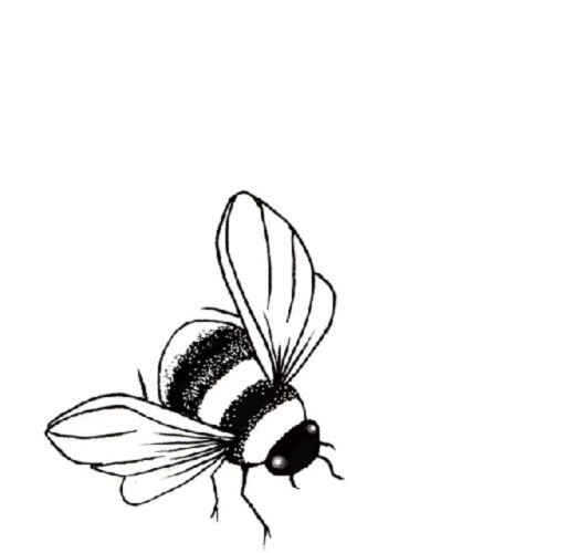 Bee mini